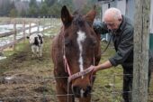 “Yetenekli Dr. Pol"un Yeni Sezonu Şubat Ayında National Geographic WILD Ekranlarında