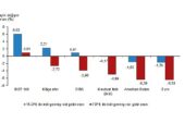 TÜİK: Aylık en yüksek reel getiri BIST 100 endeksinde oldu