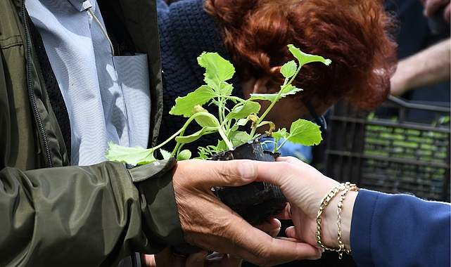 Lüleburgaz Belediyesinin serasında atalık tohumlardan elde ettiği 12 bin 500 adet sebze fidesi 14 Mayıs saat 12.00’da Kongre Meydanında vatandaşla paylaşılacak