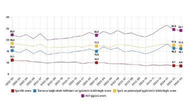 Tüik: Mevsim etkisinden arındırılmış işsizlik oranı %8,6 seviyesinde gerçekleşti