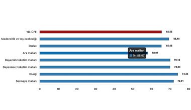 Tüik: Yurt Dışı Üretici Fiyat Endeksi (YD-ÜFE) yıllık %65,53 arttı, aylık %1,37 arttı