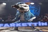 Sokak Köpekleri İçin Tamamen AI ile Yapılmış Hip Hop Şarkısı: Katletme Fark Et!