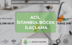 İstanbul Böcek İlaçlama: Evdeki Haşerelerden Kurtulmanın Uzman Yöntemi