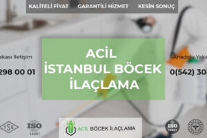 İstanbul Böcek İlaçlama: Evdeki Haşerelerden Kurtulmanın Uzman Yöntemi